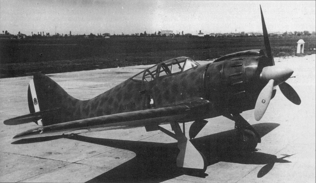 Nieznane myśliwce Regia Aeronautica (1938–1943) część I